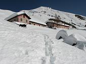 Invernale con valanghe e slavine da Nona di Vilminore verso il Passo della Manina il 23 febbraio 2009